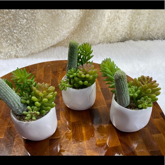 Faux succulents in 2.5”x3”H circular Pot (2 designs available). - Picture 5 of 9